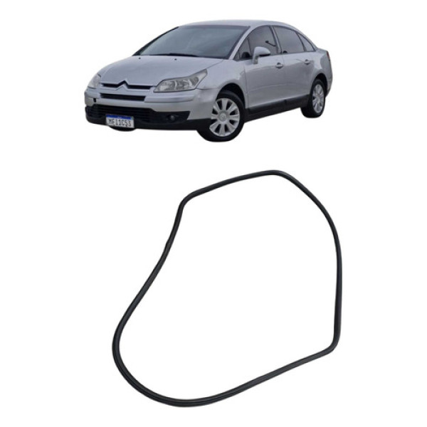 Borracha Carroceria Porta Diant Esq Citroën C4 Pallas 2008