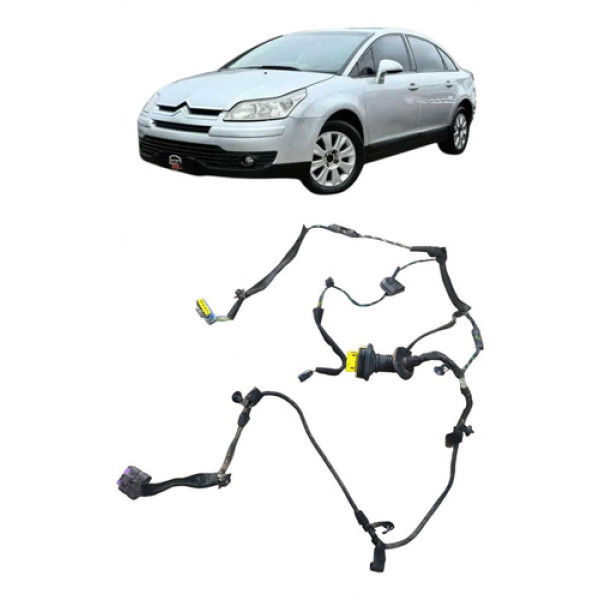 Chicote Da Porta Traseira Direita Citroën C4 Pallas 2008