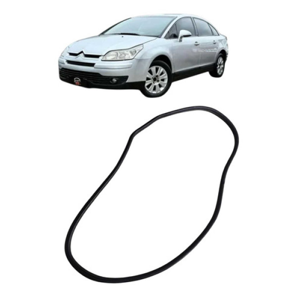 Borracha Carroceria Pt Tras Direita Citroën C4 Pallas 2008