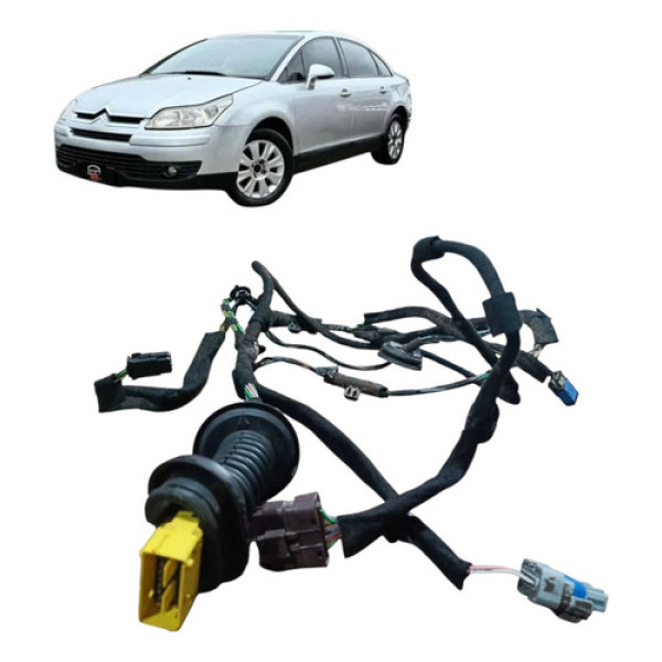 Chicote Da Porta Traseira Esquerda Citroën C4 Pallas 2008